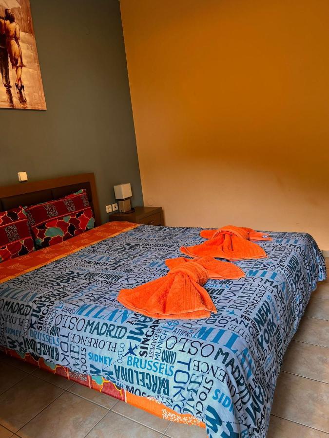 Teo'S House 2 Apartman Kalambáka Kültér fotó